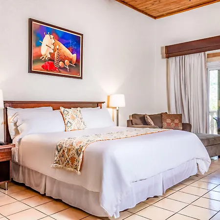 Hotel Villa Therese-2